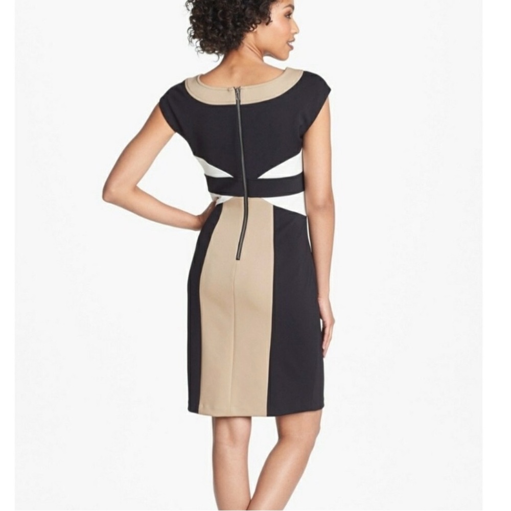 Maggy London Black and Brown Sleeveless Dress -8
